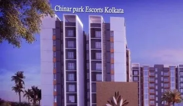 Chinar Park Call girls for one night stand  kolkata